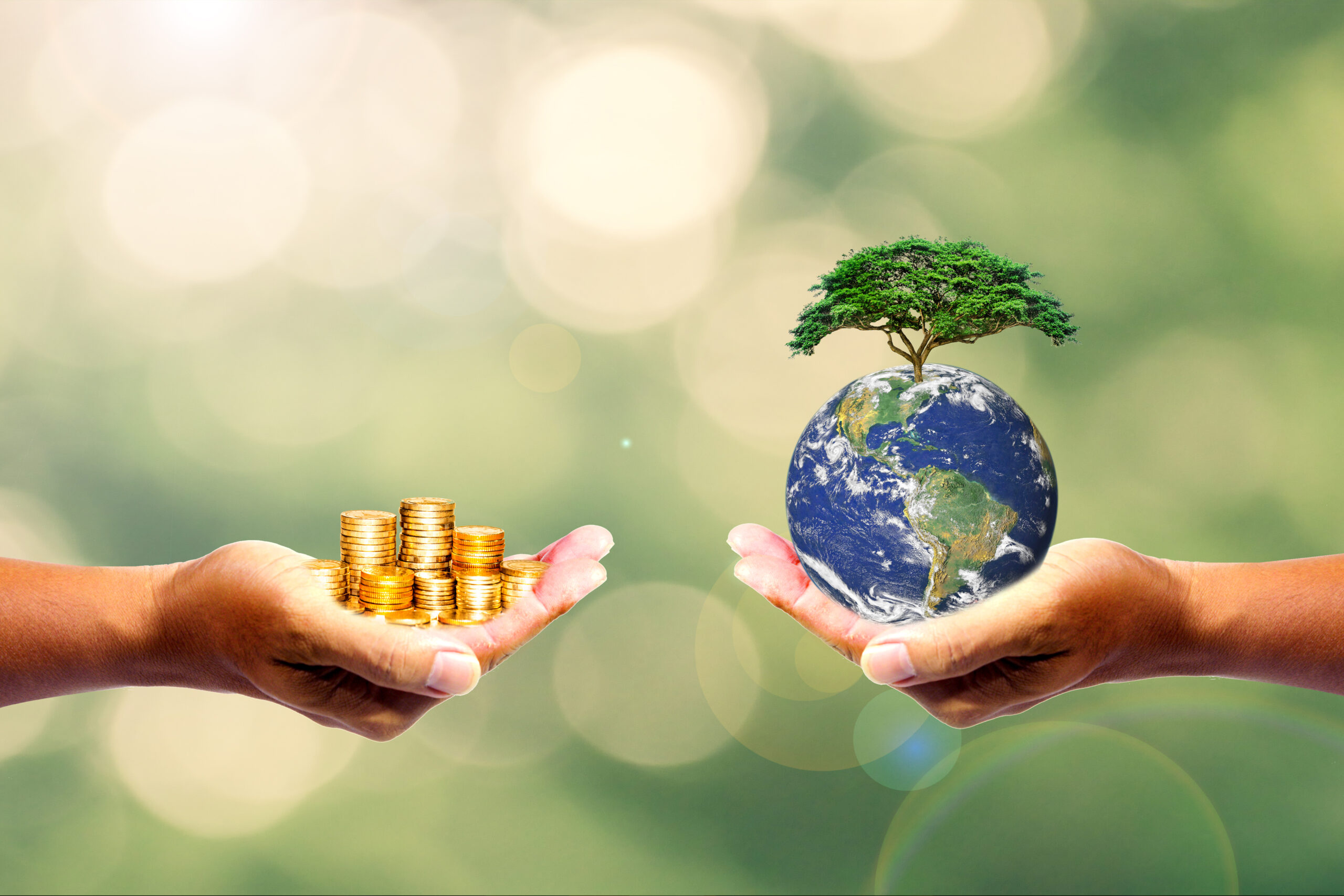 illustration économie et écologie